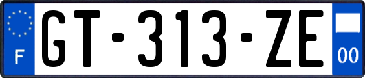 GT-313-ZE