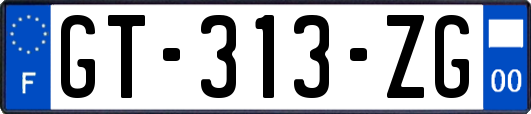 GT-313-ZG