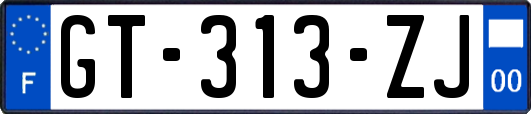 GT-313-ZJ
