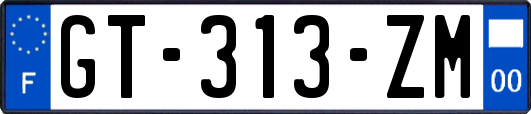 GT-313-ZM