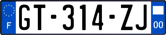 GT-314-ZJ