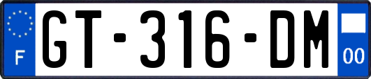 GT-316-DM