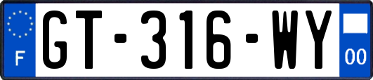 GT-316-WY