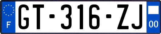 GT-316-ZJ