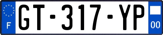 GT-317-YP
