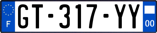 GT-317-YY