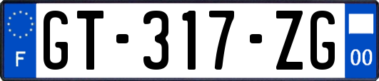 GT-317-ZG