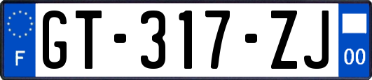 GT-317-ZJ