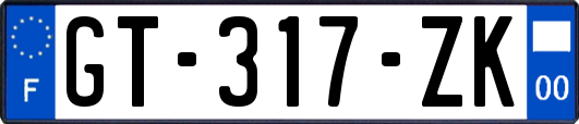 GT-317-ZK