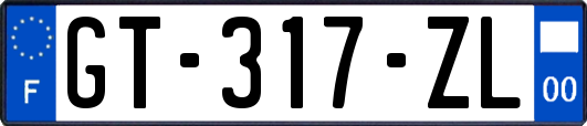 GT-317-ZL