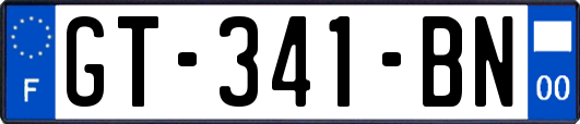 GT-341-BN