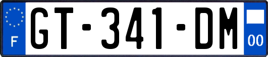 GT-341-DM
