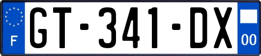GT-341-DX