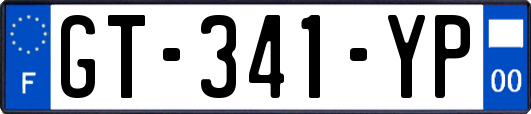 GT-341-YP