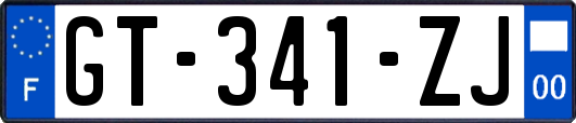GT-341-ZJ