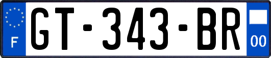GT-343-BR
