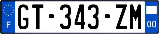 GT-343-ZM