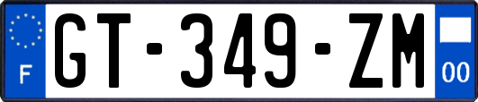GT-349-ZM