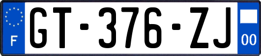 GT-376-ZJ