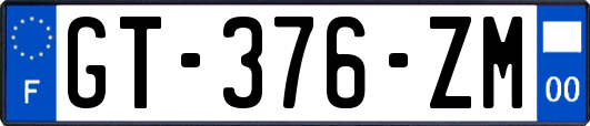 GT-376-ZM