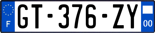 GT-376-ZY