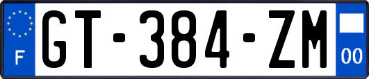 GT-384-ZM