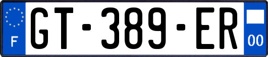 GT-389-ER