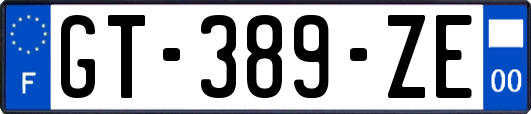 GT-389-ZE