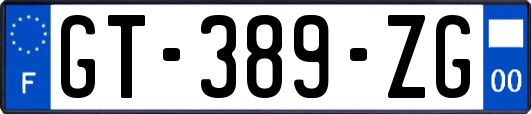 GT-389-ZG