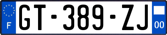 GT-389-ZJ