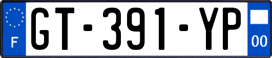 GT-391-YP