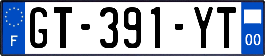 GT-391-YT