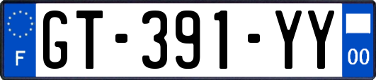 GT-391-YY