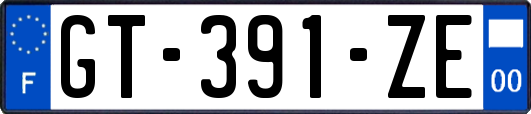GT-391-ZE
