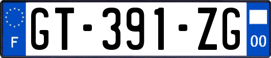 GT-391-ZG