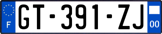 GT-391-ZJ