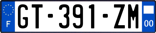 GT-391-ZM