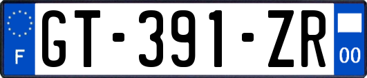 GT-391-ZR