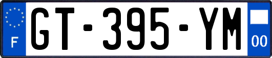 GT-395-YM