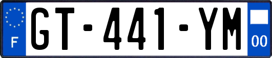 GT-441-YM