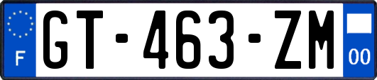 GT-463-ZM