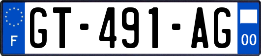 GT-491-AG