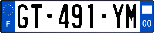 GT-491-YM