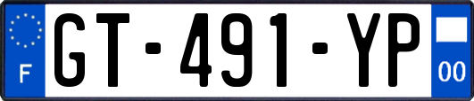 GT-491-YP