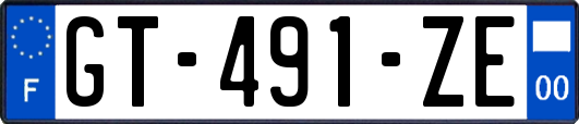 GT-491-ZE