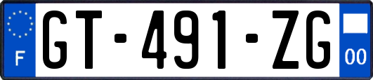 GT-491-ZG