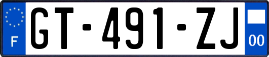 GT-491-ZJ
