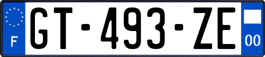 GT-493-ZE