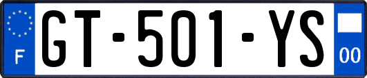 GT-501-YS