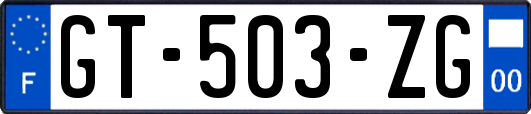 GT-503-ZG